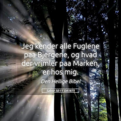 Picture 05 - Salme 50:11 DA1871 - Jeg kender alle Fuglene paa Bjergene, og hvad der - Bible Verse Picture