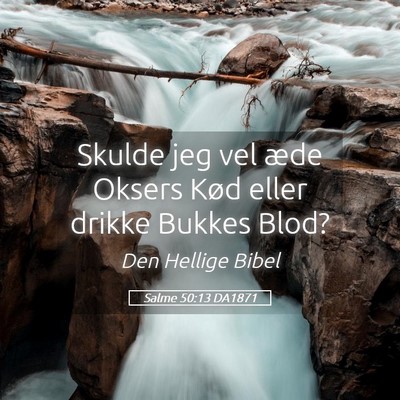 Picture 05 - Salme 50:13 DA1871 - Skulde jeg vel æde Oksers Kød eller drikke - Bible Verse Picture