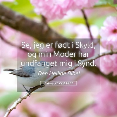 Picture 05 - Salme 51:7 DA1871 - Se, jeg er født i Skyld, og min Moder har - Bible Verse Picture