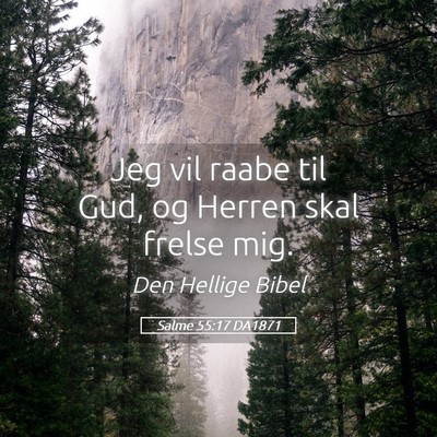 Picture 05 - Salme 55:17 DA1871 - Jeg vil raabe til Gud, og Herren skal frelse - Bible Verse Picture