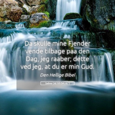 Picture 05 - Salme 56:10 DA1871 - Da skulle mine Fjender vende tilbage paa den Dag, - Bible Verse Picture