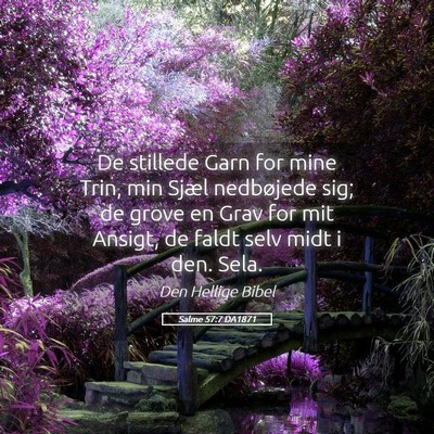 Picture 05 - Salme 57:7 DA1871 - De stillede Garn for mine Trin, min Sjæl - Bible Verse Picture