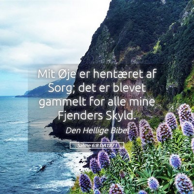 Picture 05 - Salme 6:8 DA1871 - Mit Øje er hentæret af Sorg; det er blevet - Bible Verse Picture