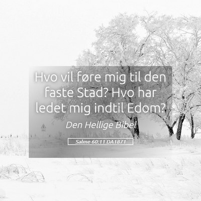 Picture 05 - Salme 60:11 DA1871 - Hvo vil føre mig til den faste Stad? Hvo har - Bible Verse Picture