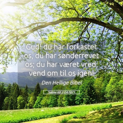 Picture 05 - Salme 60:3 DA1871 - Gud! du har forkastet os, du har sønderrevet os; - Bible Verse Picture