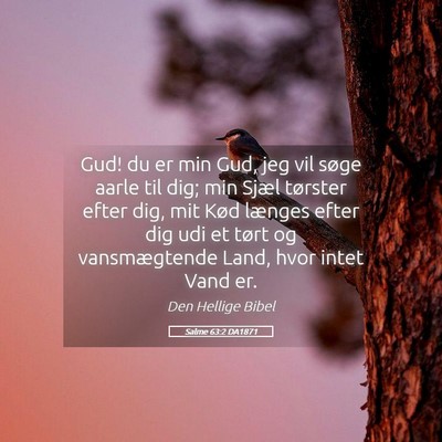 Picture 05 - Salme 63:2 DA1871 - Gud! du er min Gud, jeg vil søge aarle til dig; - Bible Verse Picture