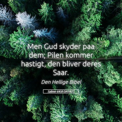 Picture 05 - Salme 64:8 DA1871 - Men Gud skyder paa dem; Pilen kommer hastigt, den - Bible Verse Picture