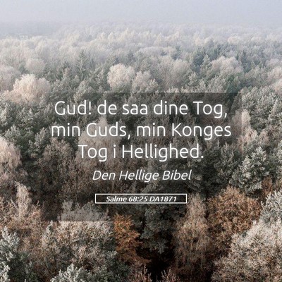 Picture 05 - Salme 68:25 DA1871 - Gud! de saa dine Tog, min Guds, min Konges Tog i - Bible Verse Picture