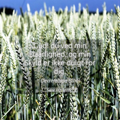 Picture 05 - Salme 69:6 DA1871 - Gud! du ved min Daarlighed, og min Skyld er ikke - Bible Verse Picture