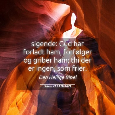 Picture 05 - Salme 71:11 DA1871 - sigende: Gud har forladt ham, forfølger og - Bible Verse Picture