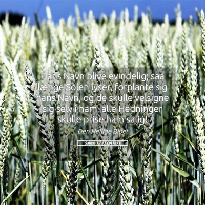 Picture 05 - Salme 72:17 DA1871 - Hans Navn blive evindelig; saa længe Solen - Bible Verse Picture