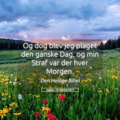 Picture 05 - Salme 73:14 DA1871 - Og dog blev jeg plaget den ganske Dag, og min - Bible Verse Picture