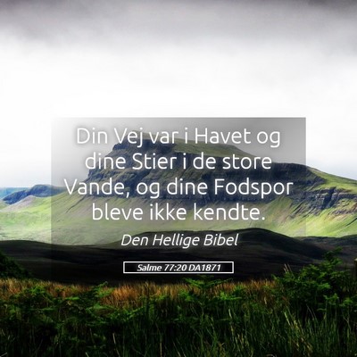 Picture 05 - Salme 77:20 DA1871 - Din Vej var i Havet og dine Stier i de store - Bible Verse Picture