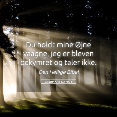 Picture 05 - Salme 77:5 DA1871 - Du holdt mine Øjne vaagne, jeg er bleven - Bible Verse Picture