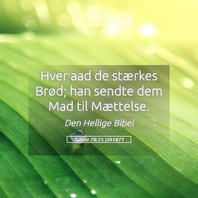 Picture 05 - Salme 78:25 DA1871 - Hver aad de stærkes Brød; han sendte dem Mad - Bible Verse Picture