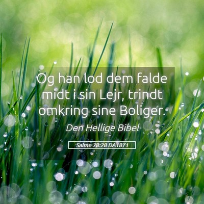 Picture 05 - Salme 78:28 DA1871 - Og han lod dem falde midt i sin Lejr, trindt - Bible Verse Picture