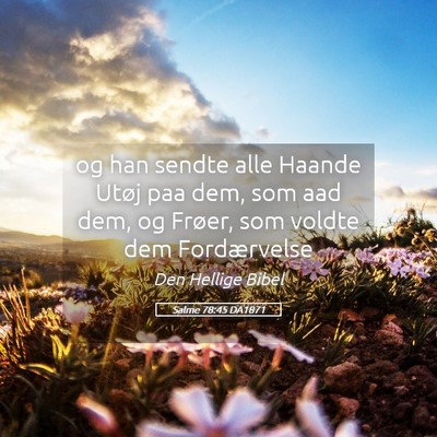 Picture 05 - Salme 78:45 DA1871 - og han sendte alle Haande Utøj paa dem, som aad - Bible Verse Picture