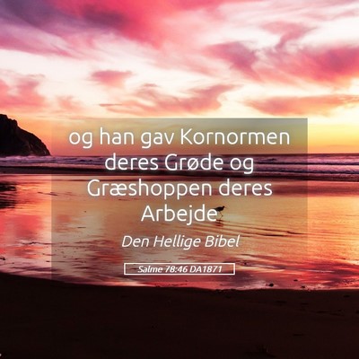 Picture 05 - Salme 78:46 DA1871 - og han gav Kornormen deres Grøde og Græshoppen - Bible Verse Picture
