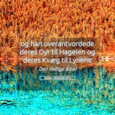 Picture 05 - Salme 78:48 DA1871 - og han overantvordede deres Dyr til Hagelen og - Bible Verse Picture