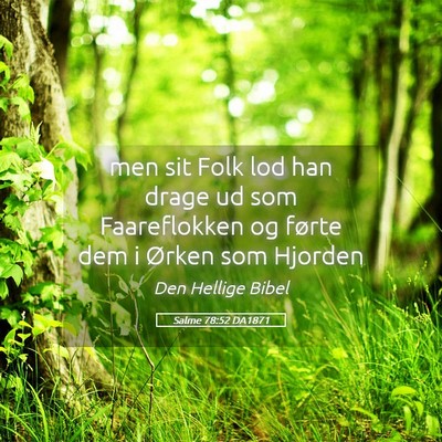 Picture 05 - Salme 78:52 DA1871 - men sit Folk lod han drage ud som Faareflokken og - Bible Verse Picture