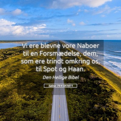 Picture 05 - Salme 79:4 DA1871 - Vi ere blevne vore Naboer til en Forsmædelse, - Bible Verse Picture
