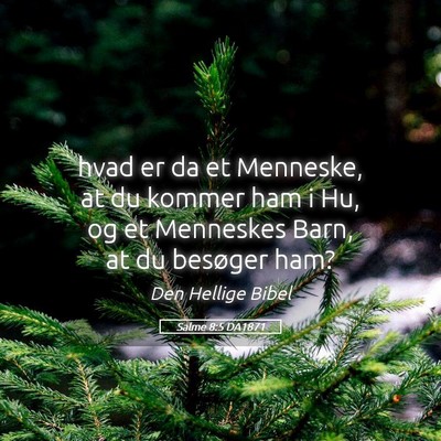 Picture 05 - Salme 8:5 DA1871 - hvad er da et Menneske, at du kommer ham i Hu, og - Bible Verse Picture