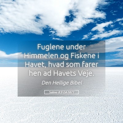 Picture 05 - Salme 8:9 DA1871 - Fuglene under Himmelen og Fiskene i Havet, hvad - Bible Verse Picture