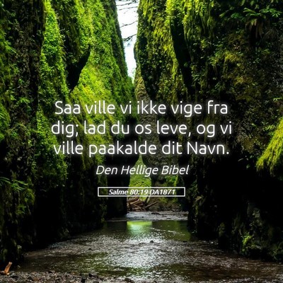 Picture 05 - Salme 80:19 DA1871 - Saa ville vi ikke vige fra dig; lad du os leve, - Bible Verse Picture