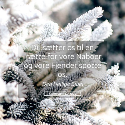 Picture 05 - Salme 80:7 DA1871 - Du sætter os til en Trætte for vore Naboer, og - Bible Verse Picture
