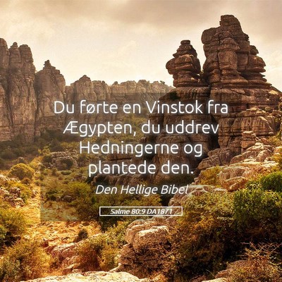 Picture 05 - Salme 80:9 DA1871 - Du førte en Vinstok fra Ægypten, du uddrev - Bible Verse Picture