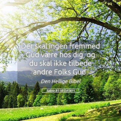 Picture 05 - Salme 81:10 DA1871 - Der skal ingen fremmed Gud være hos dig, og du - Bible Verse Picture