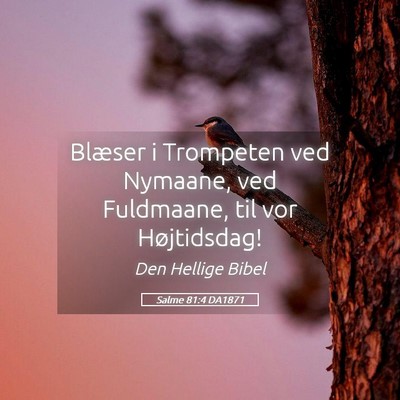 Picture 05 - Salme 81:4 DA1871 - Blæser i Trompeten ved Nymaane, ved Fuldmaane, - Bible Verse Picture
