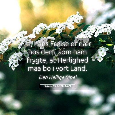 Picture 05 - Salme 85:10 DA1871 - Ja, hans Frelse er nær hos dem, som ham frygte, - Bible Verse Picture