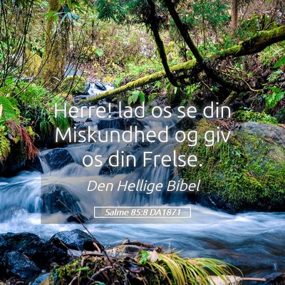 Picture 05 - Salme 85:8 DA1871 - Herre! lad os se din Miskundhed og giv os din - Bible Verse Picture