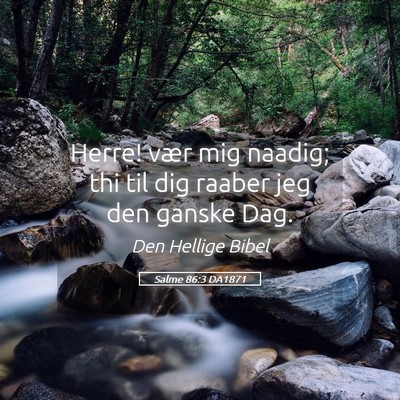 Picture 05 - Salme 86:3 DA1871 - Herre! vær mig naadig; thi til dig raaber jeg - Bible Verse Picture