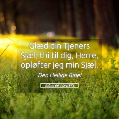 Picture 05 - Salme 86:4 DA1871 - Glæd din Tjeners Sjæl; thi til dig, Herre, - Bible Verse Picture