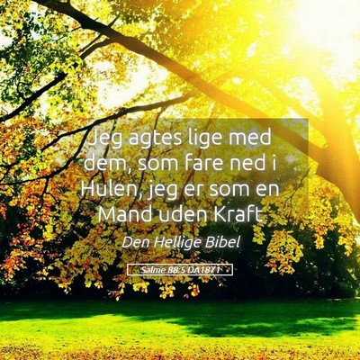 Picture 05 - Salme 88:5 DA1871 - Jeg agtes lige med dem, som fare ned i Hulen, jeg - Bible Verse Picture