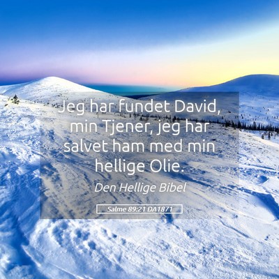 Picture 05 - Salme 89:21 DA1871 - Jeg har fundet David, min Tjener, jeg har salvet - Bible Verse Picture
