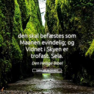 Picture 05 - Salme 89:38 DA1871 - den skal befæstes som Maanen evindelig; og - Bible Verse Picture