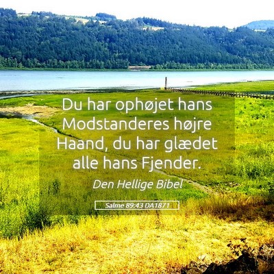Picture 05 - Salme 89:43 DA1871 - Du har ophøjet hans Modstanderes højre Haand, - Bible Verse Picture