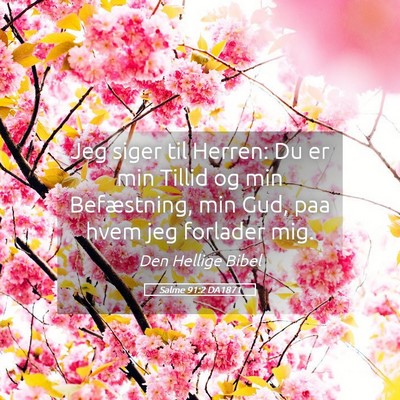 Picture 05 - Salme 91:2 DA1871 - Jeg siger til Herren: Du er min Tillid og min - Bible Verse Picture
