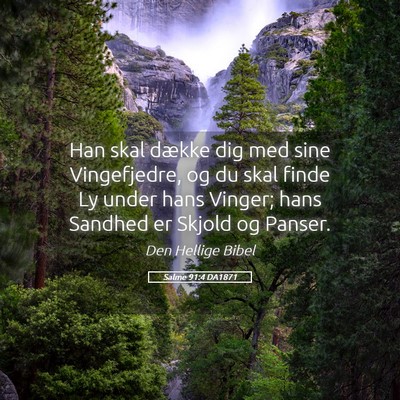 Picture 05 - Salme 91:4 DA1871 - Han skal dække dig med sine Vingefjedre, og du - Bible Verse Picture