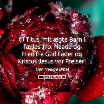 Picture 05 - Titus 1:4 DA1871 - til Titus, mit ægte Barn i fælles Tro: Naade og - Bible Verse Picture
