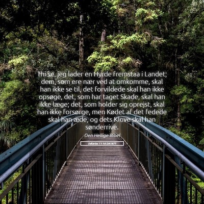 Picture 05 - Zakarias 11:16 DA1871 - Thi se, jeg lader en Hyrde fremstaa i Landet; - Bible Verse Picture