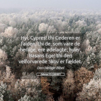 Picture 05 - Zakarias 11:2 DA1871 - Hyl, Cypres! thi Cederen er falden, thi de, som - Bible Verse Picture