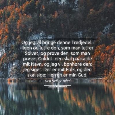 Picture 05 - Zakarias 13:9 DA1871 - Og jeg vil bringe denne Tredjedel i Ilden og - Bible Verse Picture