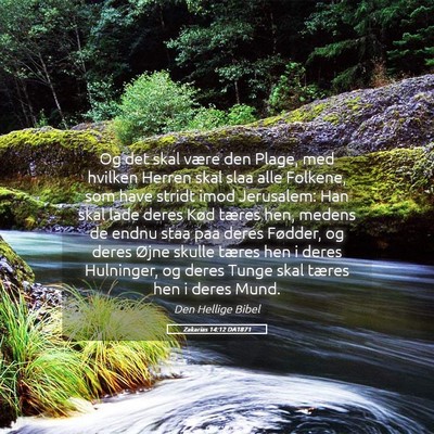 Picture 05 - Zakarias 14:12 DA1871 - Og det skal være den Plage, med hvilken Herren - Bible Verse Picture