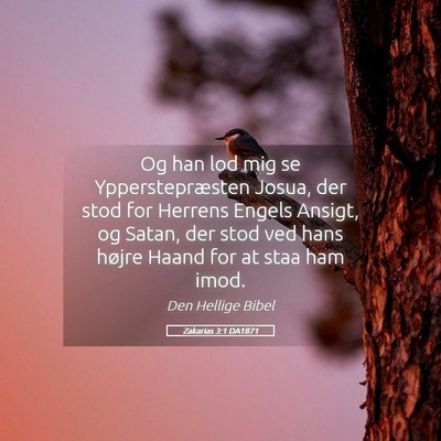 Picture 05 - Zakarias 3:1 DA1871 - Og han lod mig se Ypperstepræsten Josua, der - Bible Verse Picture
