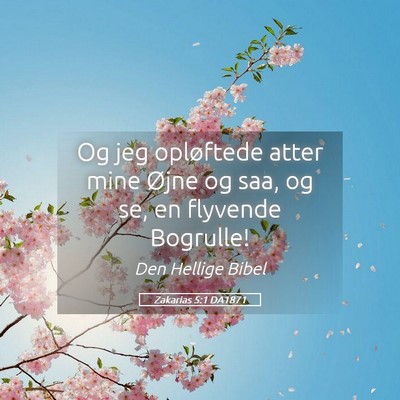 Picture 05 - Zakarias 5:1 DA1871 - Og jeg opløftede atter mine Øjne og saa, og se, - Bible Verse Picture
