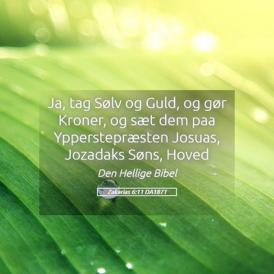 Picture 05 - Zakarias 6:11 DA1871 - Ja, tag Sølv og Guld, og gør Kroner, og sæt - Bible Verse Picture